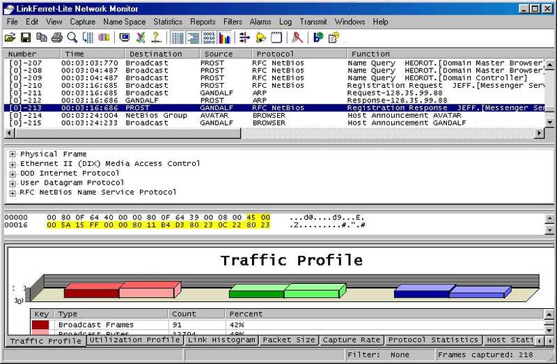 LinkFerret Network Monitor Screenshot